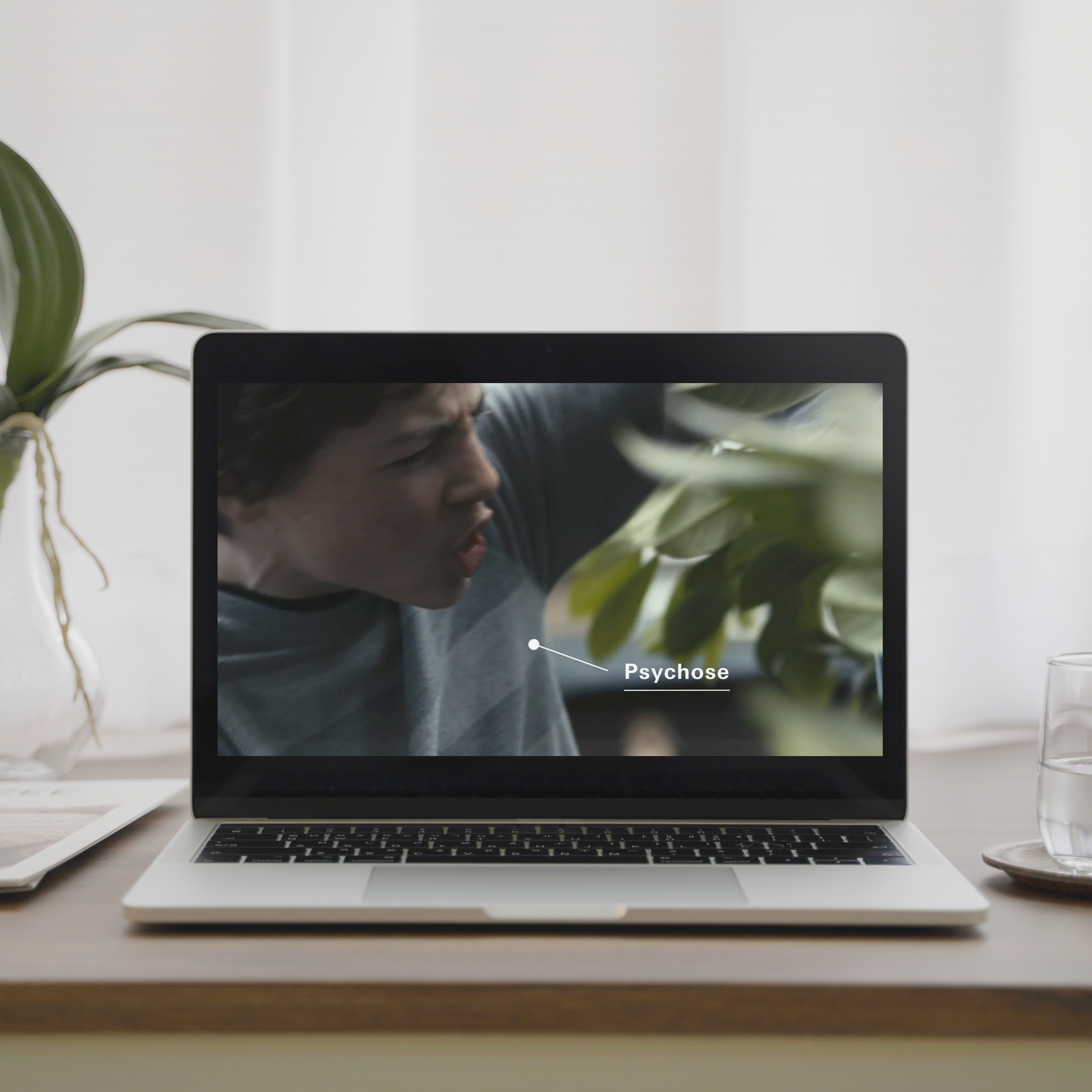 De Bascule film op laptop scherm